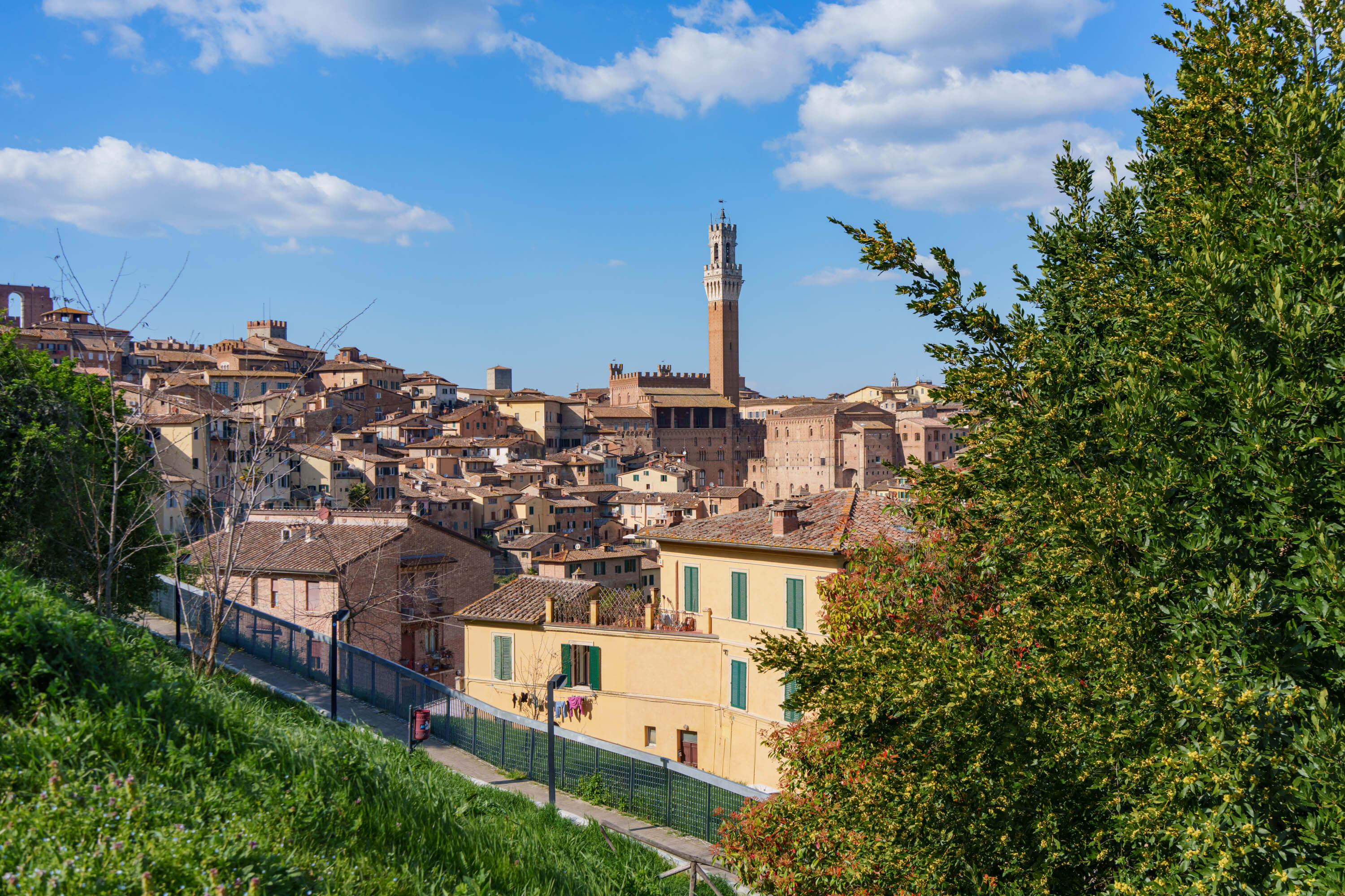 Afternoon light shines brightly on the houses of Siena. While bright green grass and plants frame the bottom of the photo stark blue mixed with white clouds frame the top.