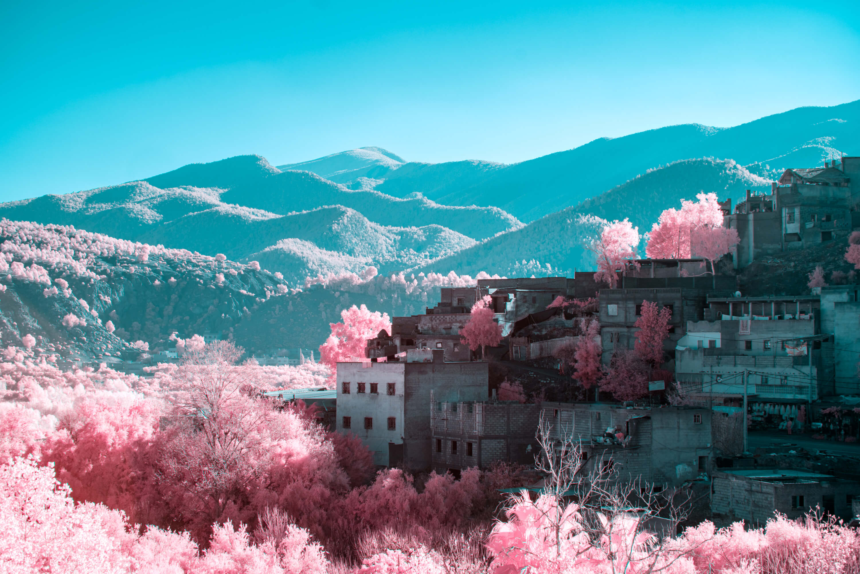 A dense Moroccan hillside village sits in shadow while the Atlas Mountains behind it dissolve into a teal infrared haze. Pink foliage crowds the buildings on every side, and the haze blurs the mountain ridgeline into the sky.
