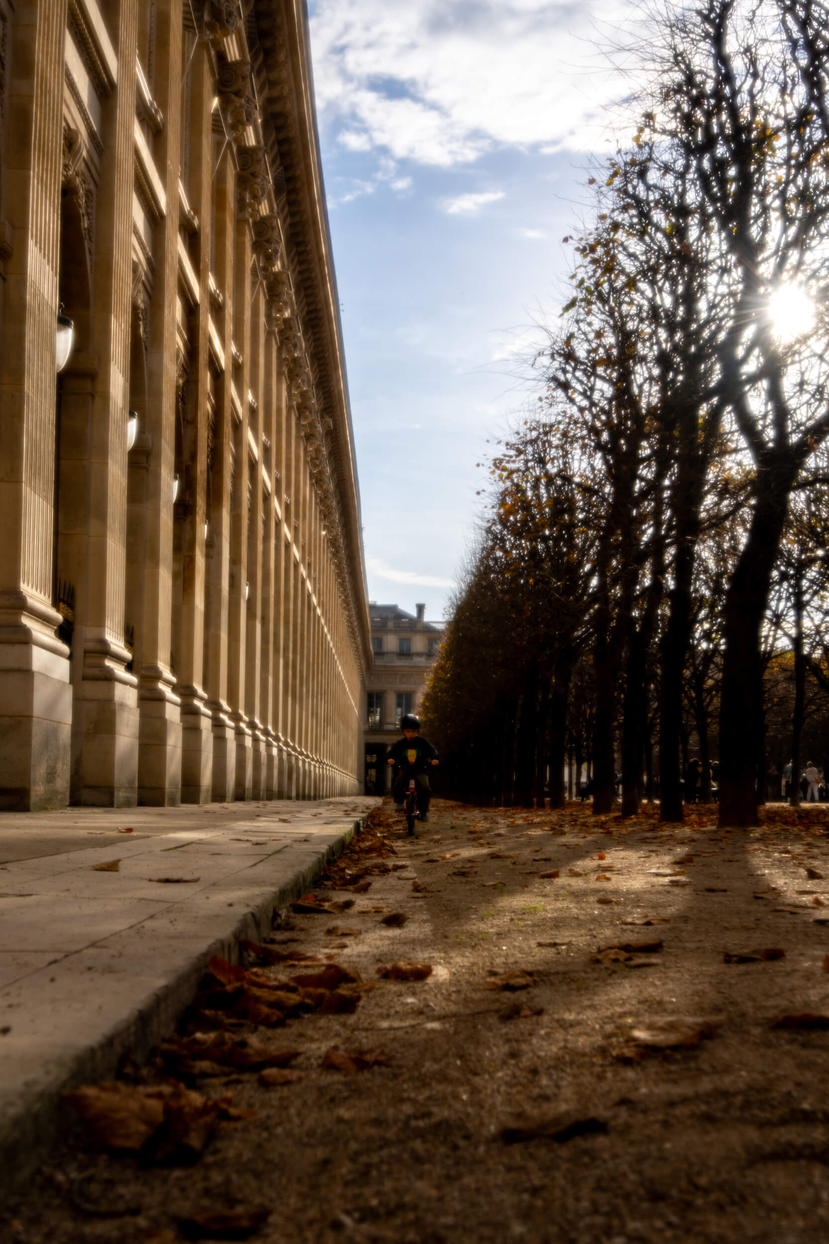 A child in Paris rides his tiny bike in a local park. He is dwarfed by the stone columns and barren trees that line the path on his sides.