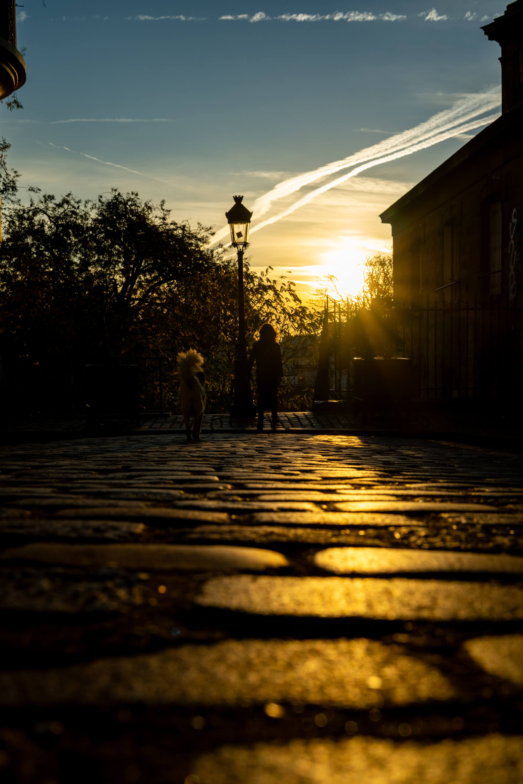 A woman and her dog walk into the sunrise in Paris. Golden light pours onto the cobblestones while white clouds streak across the light blue sky.