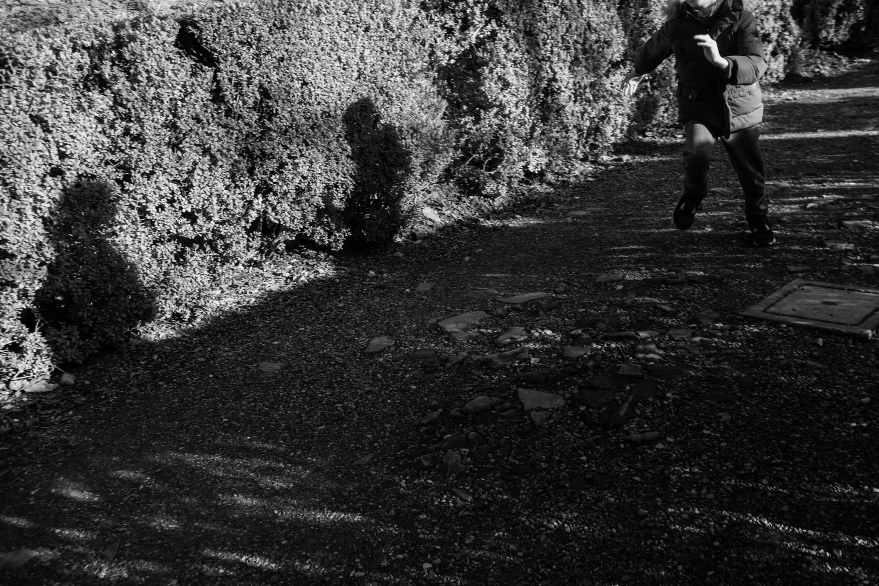 A young boy is running down a path in the park. His shadow appears to be chasing another shadow.